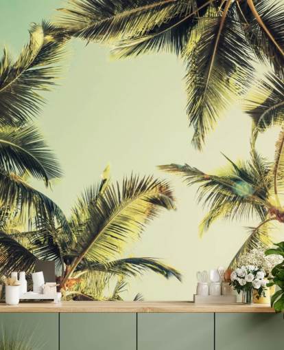 Looking Up at Palm Trees Wallpaper