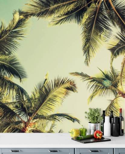 Katse Palmujen Taustakuva