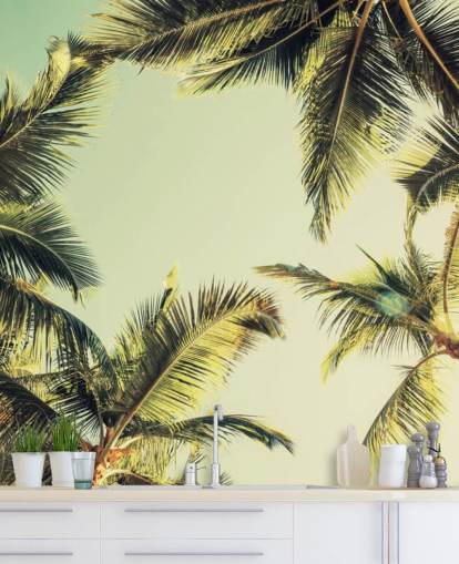 Kijken naar Palm Trees Wallpaper