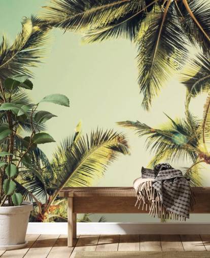 Ser op på Palmer Baggrund Ser op på Palmer Baggrund