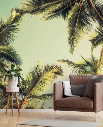 Titta upp på Palm Trees Bakgrund