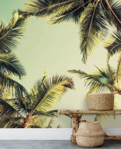 Looking Up at Palm Trees Wallpaper