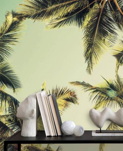 Looking Up at Palm Trees Wallpaper