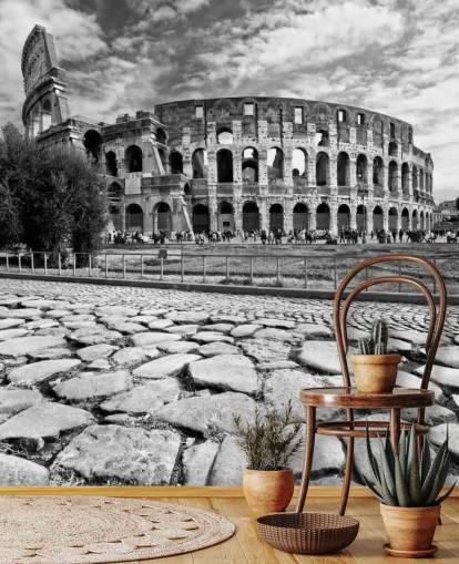 Svart og hvitt bilde av Colosseum i Roma Bakgrunn