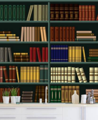 livros amarelos, vermelhos e verdes no papel de parede de prateleira verde