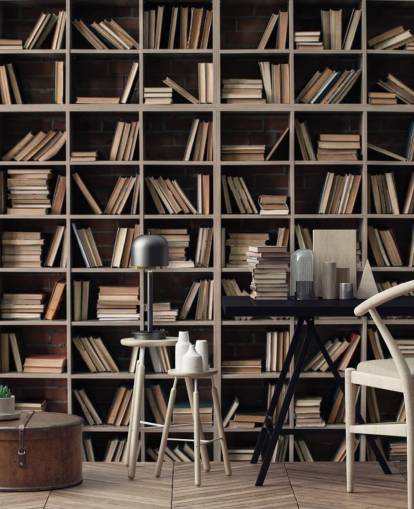 dark beige and brown bookshelves wallpaper