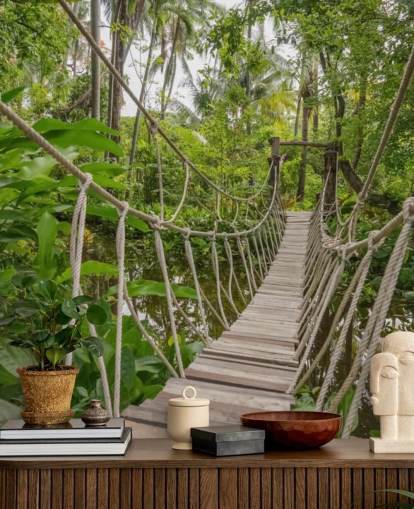 Ponte de madeira e corda em um papel de parede da selva