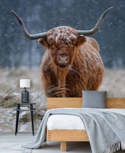 carta da parati murale personalizzata con mucca innevata chiamata Snowy Highland Cow per camere da letto e bagni