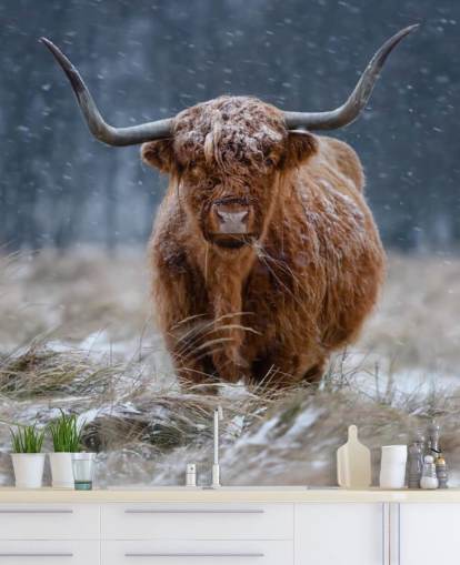 snødekt tilpasset ku tapetmaleri kalt Snowy Highland Cow for soverom og bad