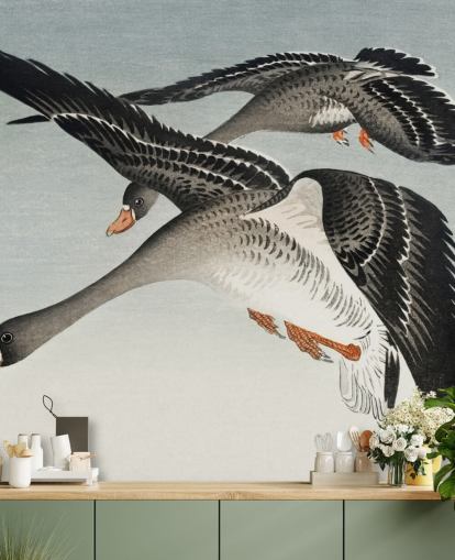 hanhet ja kuu tapetti