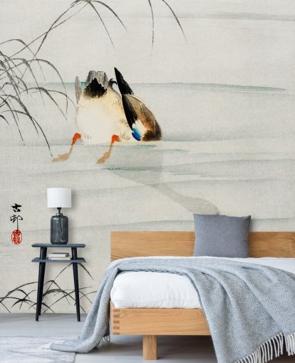 papier peint canard sous l'eau papier peint canard sous l'eau