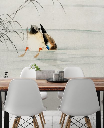 papier peint canard sous l'eau