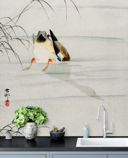 papier peint canard sous l'eau