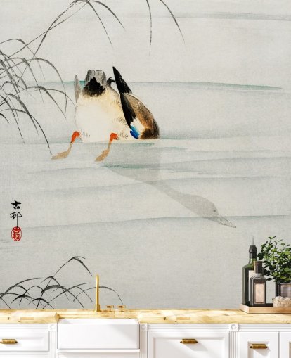 papier peint canard sous l'eau papier peint canard sous l'eau