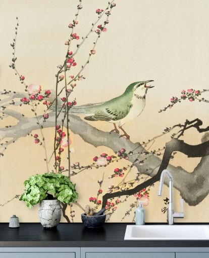 Singvogel auf Blütenzweig Tapete Singvogel auf Blütenzweig Tapete