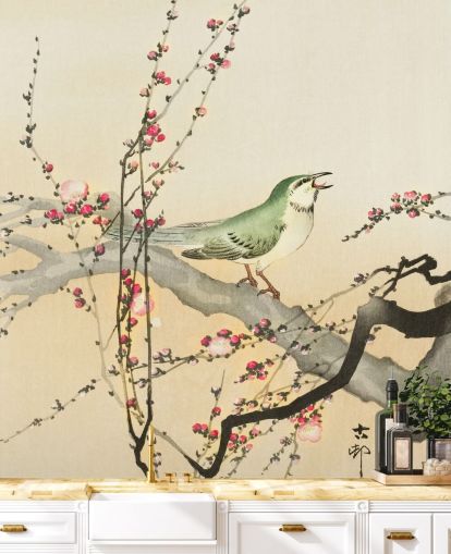 papel de parede songbird on blossom branch papel de parede songbird on blossom branch