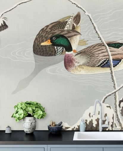 canards colverts dans le papier peint de peinture à l'eau glacée