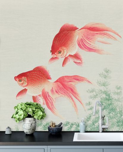 papel de parede peixe oriental rosa