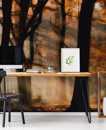 Woodland behang Woodland behang