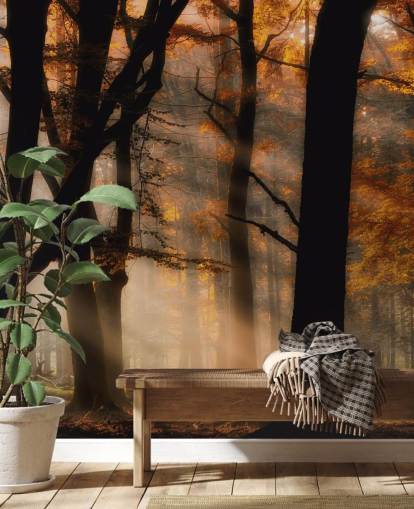 Woodland Hintergrundbild Woodland Hintergrundbild