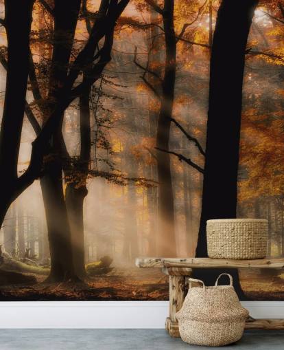 Papier peint Woodland