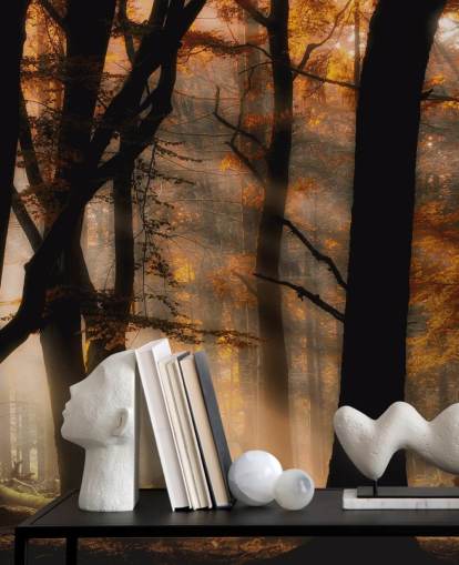 Papel de parede Woodland Papel de parede Woodland