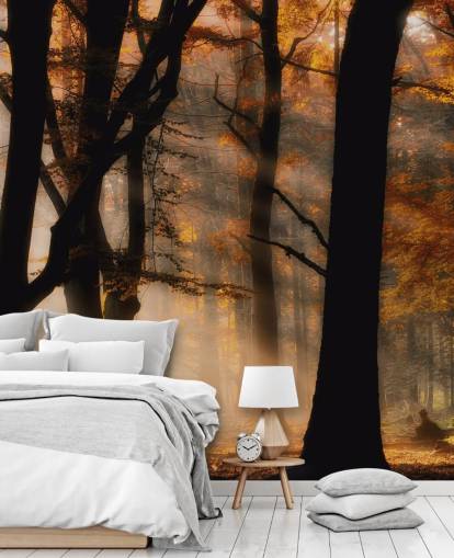 Carta da parati Woodland Carta da parati Woodland