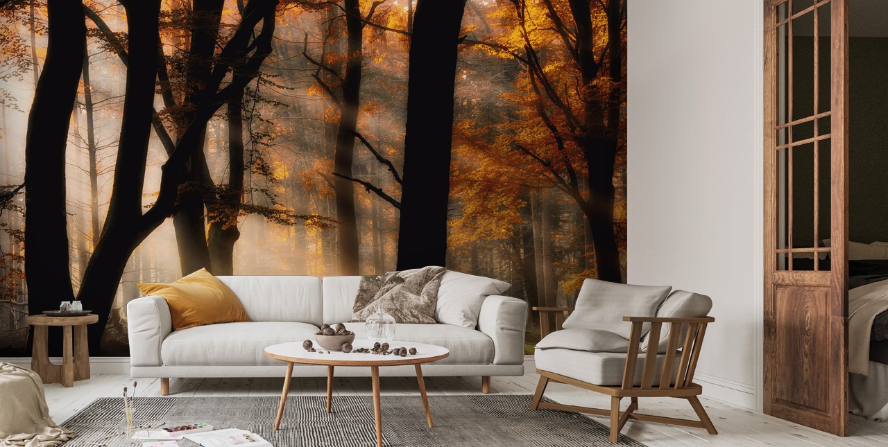 Autumn Light Wall Mural | Wallsauce UK