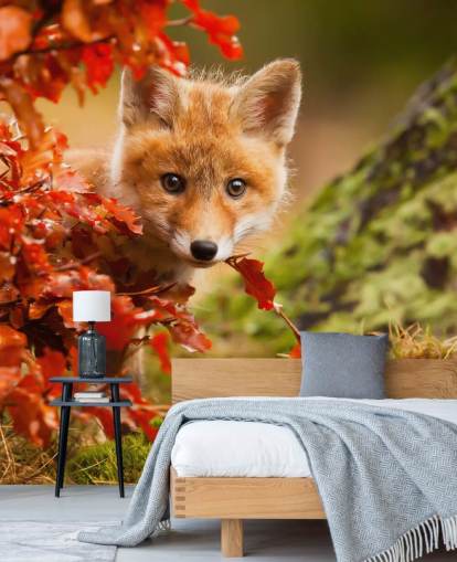 Carta da parati con cuccioli di volpe in autunno