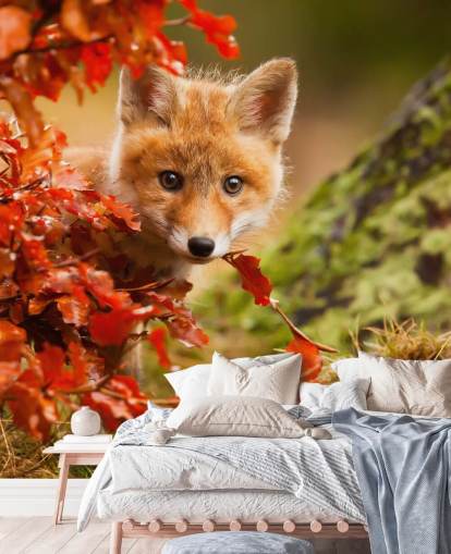Fox Cub in Autumn Leaves Wallpaper Fox Cub in Autumn Leaves Wallpaper