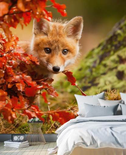 Fox Cub in Autumn Leaves Wallpaper