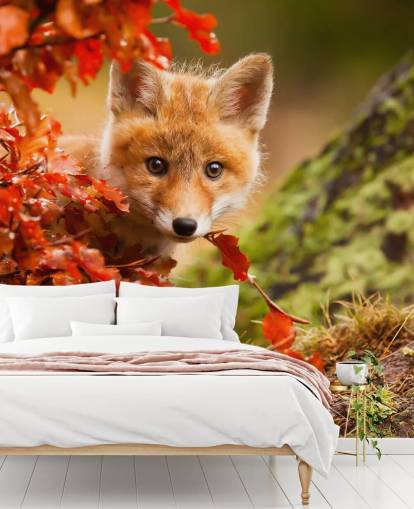 Papel de Parede Fox Cub in Autumn Leaves Papel de Parede Fox Cub in Autumn Leaves