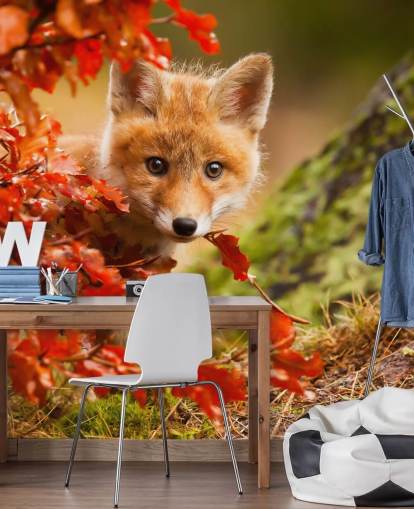 Fox Cub in Autumn Leaves Wallpaper