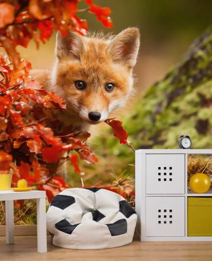 Fond d'écran Fox Cub dans les feuilles d'automne