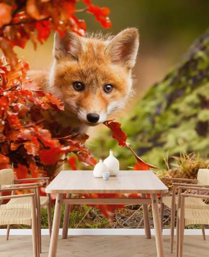 Fondo de pantalla de Fox Cub en hojas de otoño Fondo de pantalla de Fox Cub en hojas de otoño