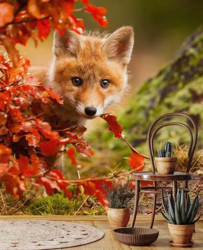 Carta da parati con cuccioli di volpe in autunno