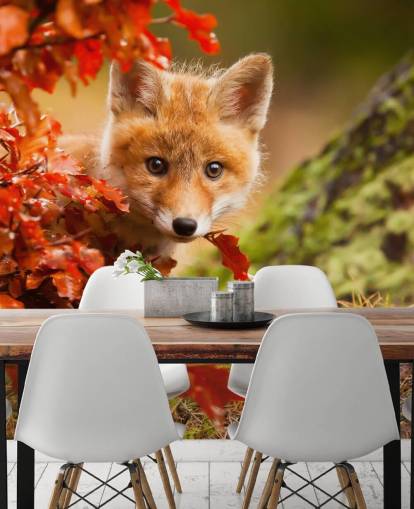 Fox Cub i efteråret Blade Baggrund