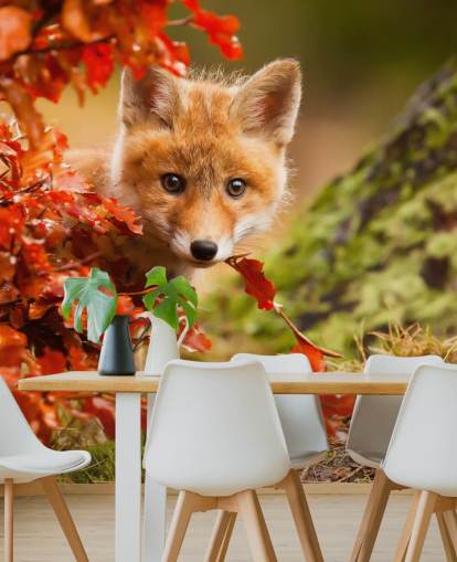 Fondo de pantalla de Fox Cub en hojas de otoño