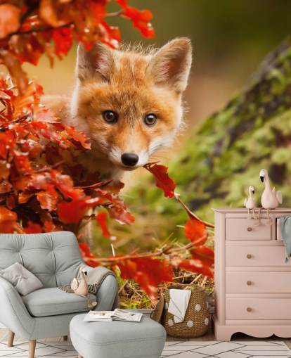 Fox Cub in Autumn Leaves Wallpaper