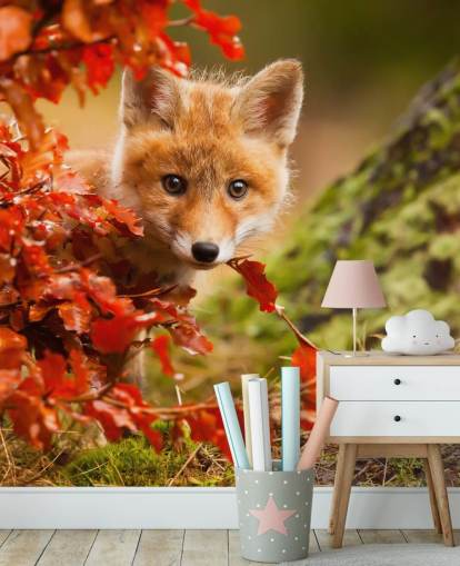 Fondo de pantalla de Fox Cub en hojas de otoño Fondo de pantalla de Fox Cub en hojas de otoño