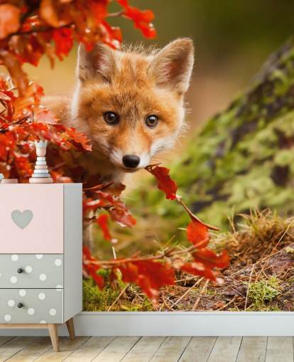 Fox Cub in herfstbladeren behang