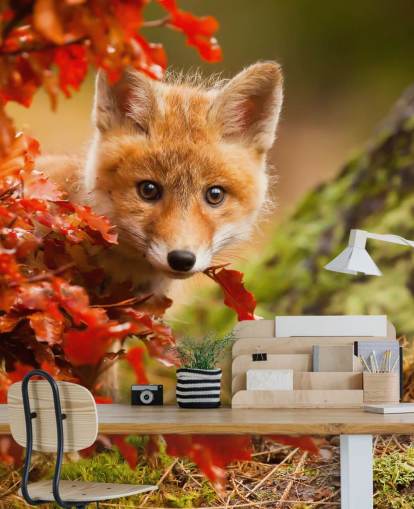 Carta da parati con cuccioli di volpe in autunno Carta da parati con cuccioli di volpe in autunno