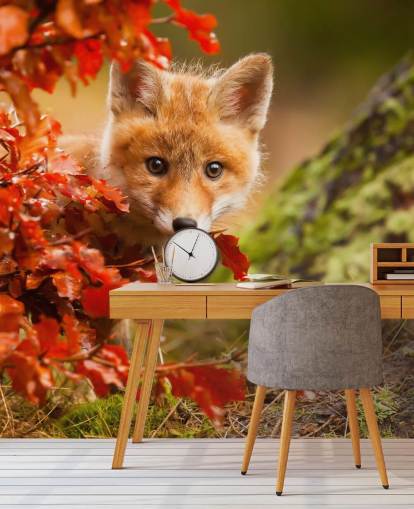 Fondo de pantalla de Fox Cub en hojas de otoño