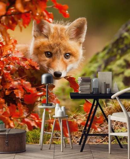 Fox Cub i höstlöv Bakgrund
