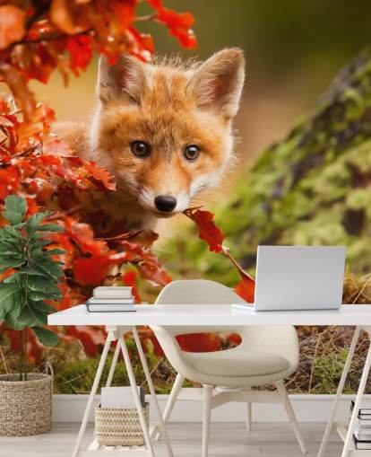 Fondo de pantalla de Fox Cub en hojas de otoño Fondo de pantalla de Fox Cub en hojas de otoño