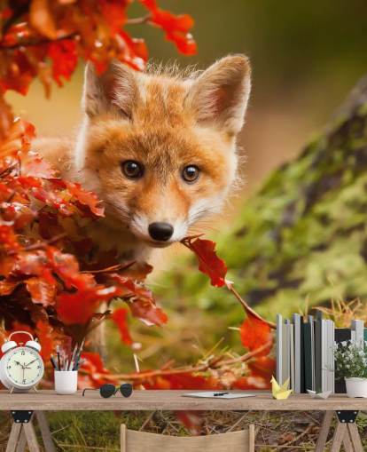 Fox Cub in Autumn Leaves Wallpaper