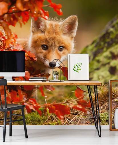 Fox Cub in Autumn Leaves Wallpaper