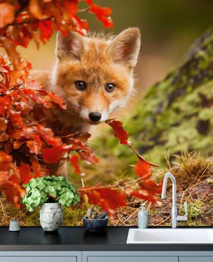 Fox Cub in Autumn Leaves Wallpaper