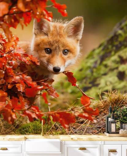 Fondo de pantalla de Fox Cub en hojas de otoño