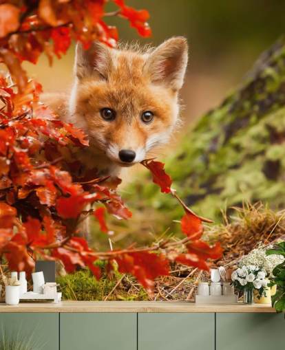 Fox Cub syksyllä lehdet Taustakuva